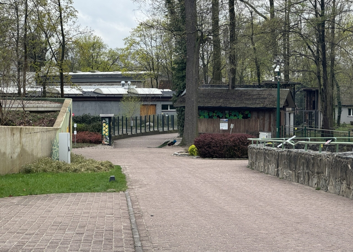 Łódzkie Orientarium i ZOO przygotowują dwie nowe wystawy