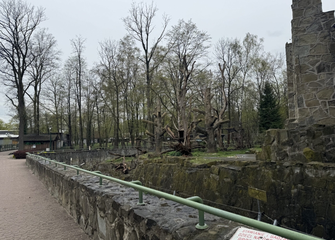 Łódzkie Orientarium i ZOO przygotowują dwie nowe wystawy