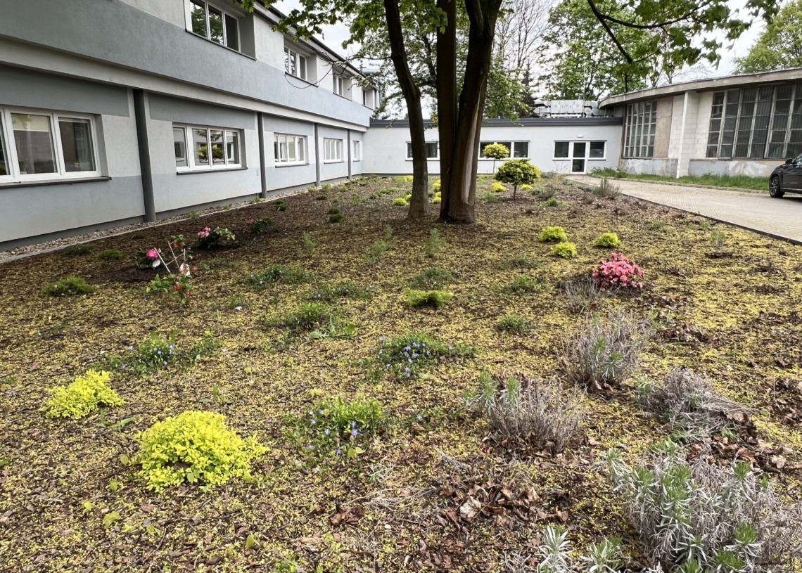 Dzięki Lions Club Łódź Ladies zazielenił się teren hospicjum dla dorosłych w Łodzi