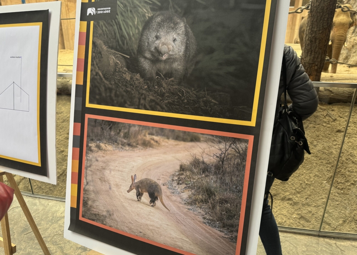 Łódzkie Orientarium i ZOO przygotowują dwie nowe wystawy