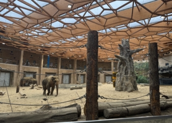 Łódzkie Orientarium