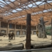 Łódzkie Orientarium i ZOO przygotowują dwie nowe wystawy 7 Łódzkie Orientarium