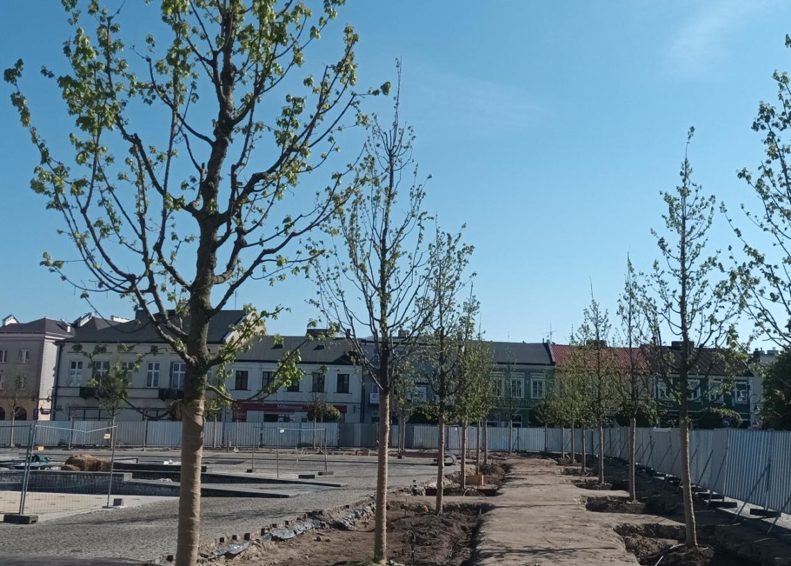 Rynek w Skierniewicach staje się zielony