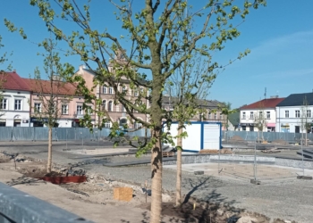 Rynek w Skierniewicach staje się zielony