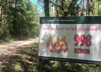 Zagrożenie pożarowe w lasach w Łódzkiem. Jest ekstremalnie sucho