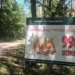 Zagrożenie pożarowe w lasach w Łódzkiem. Jest ekstremalnie sucho 5 Zagrożenie pożarowe w lasach w Łódzkiem. Jest ekstremalnie sucho