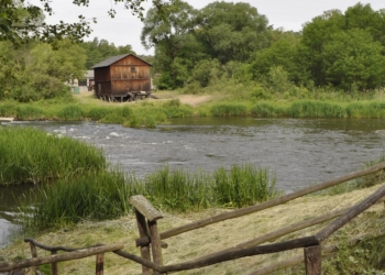 Dzieci z rodzin wielodzietnych wyjadą na kolonie do Załęcza Wielkiego