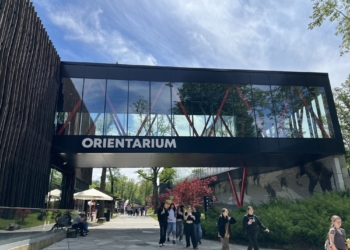 Dwa nowe inteligentne ule stanęły w łódzkim Orientarium