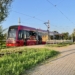 Łodzianie muszą czekać rok na mapę z trasami linii tramwajowych i autobusowych