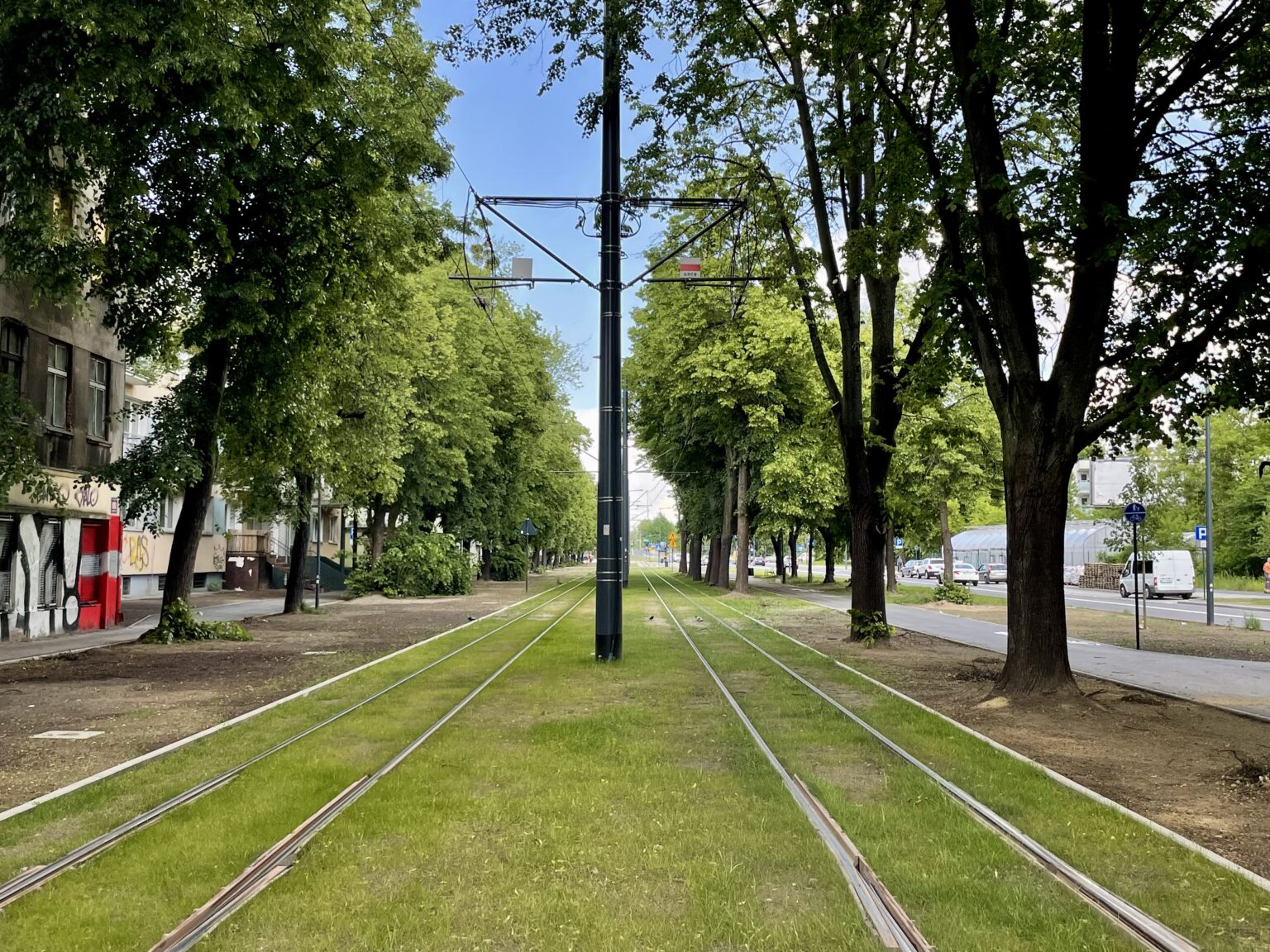IMG 7436