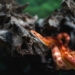Hodowla węża zbożowego w domu 15 Hodowla węża zbożowego w domu