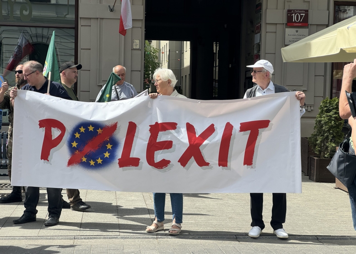 Przeciwnicy Unii Europejskiej maszerowali po ulicy Piotrkowskiej