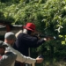 XVIII Mistrzostwa Polski w strzelectwie westernowym