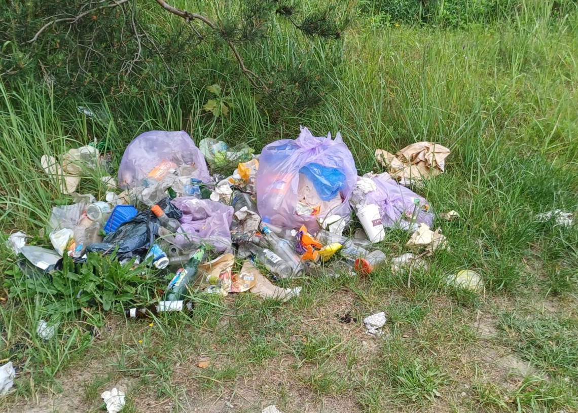 Mieszkańcy Sulejowa w powiecie piotrkowskim sprzątali Wapienniki
