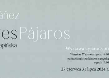 Pierwsza międzynarodowa wystawa w Mediatece Memo. Berta Ibanez „Árboles y Pájaros”