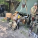 Piknik amerykański w Bunkrze w Konewce. Tajniki życia wojskowych i klasyczne samochody