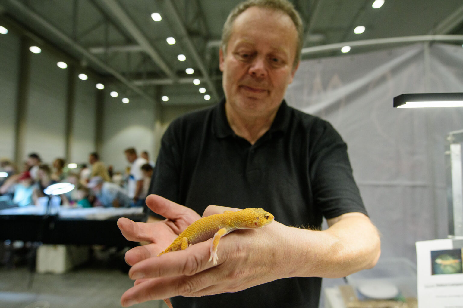 Targi egzotyczne w hali EXPO Fot Sebastian Szwajkowski 3