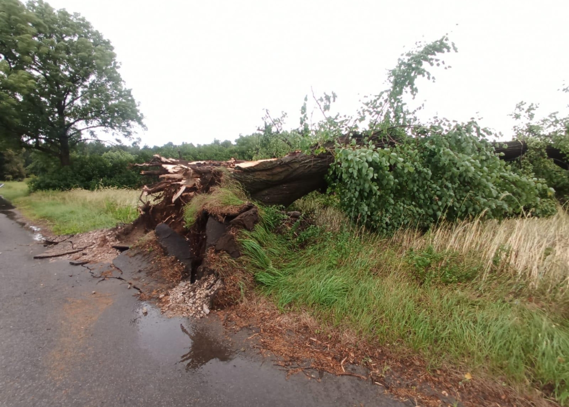 Burza w powiecie radomszczańskim w gminie Kodrąb spowodowała straty