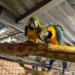 ZOO Borysew