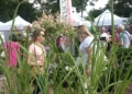 Festiwal Ogrodniczy w Nieborowie