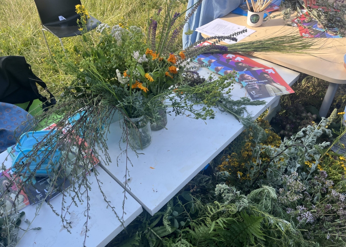 Piknik z okazji letniego przesilenia w Parku Ocalałych w Łodzi