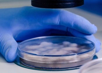 Program in vitro