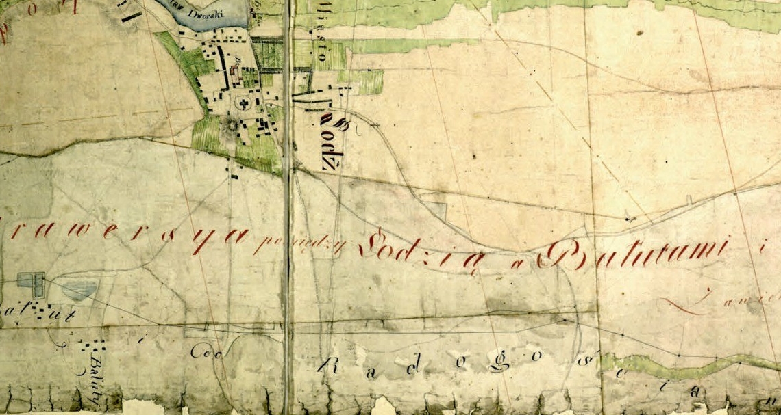 Przewodnik po drzewach Starych Bałut