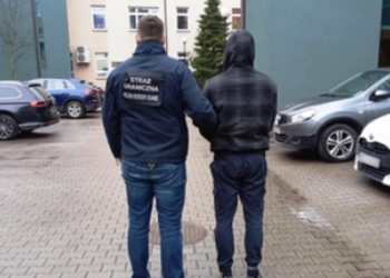 Rozbito gang organizujący nielegalną migrację