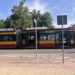 Wraca tramwaj do Konstantynowa Łódzkiego. Linią 43 pojedziemy od 1 lipca