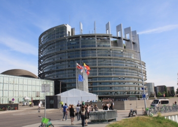 Łódzcy europosłowie zapewniają o współpracy dla dobra regionu