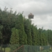 Do połowy lipca trwa liczenie bocianów 2 Liczenie bocianów