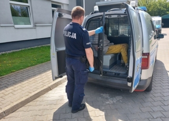 policja interweniuje w sprawie kaszanki