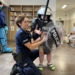 policja