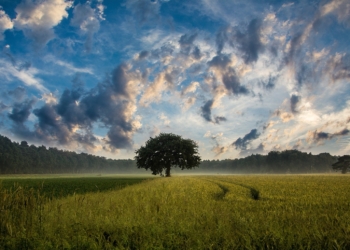 Pogoda na piątek