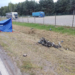 Śmiertelny wypadek na DK74 w Grębenicach