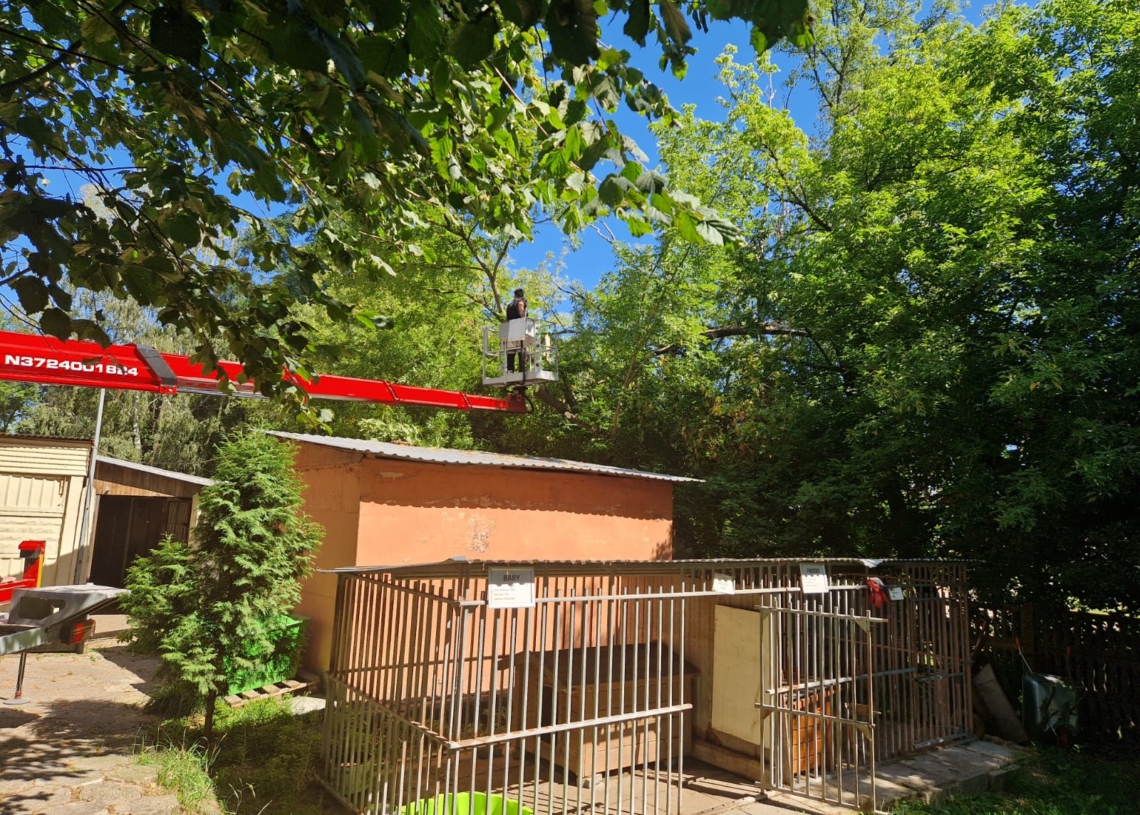 Centrum Pomocy Bezdomnym Zwierzętom zastąpi obecne schronisko dla zwierząt w Tomaszowie 1 Centrum Pomocy Bezdomnym Zwierzętom zastąpi obecne schronisko