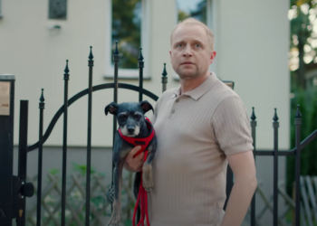 bezdomnych zwierząt