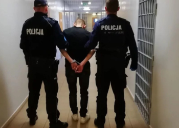 Daniel M. usłyszał zarzut zabójstwa małoletniej Oliwii z Domu Dziecka w Tomisławicach