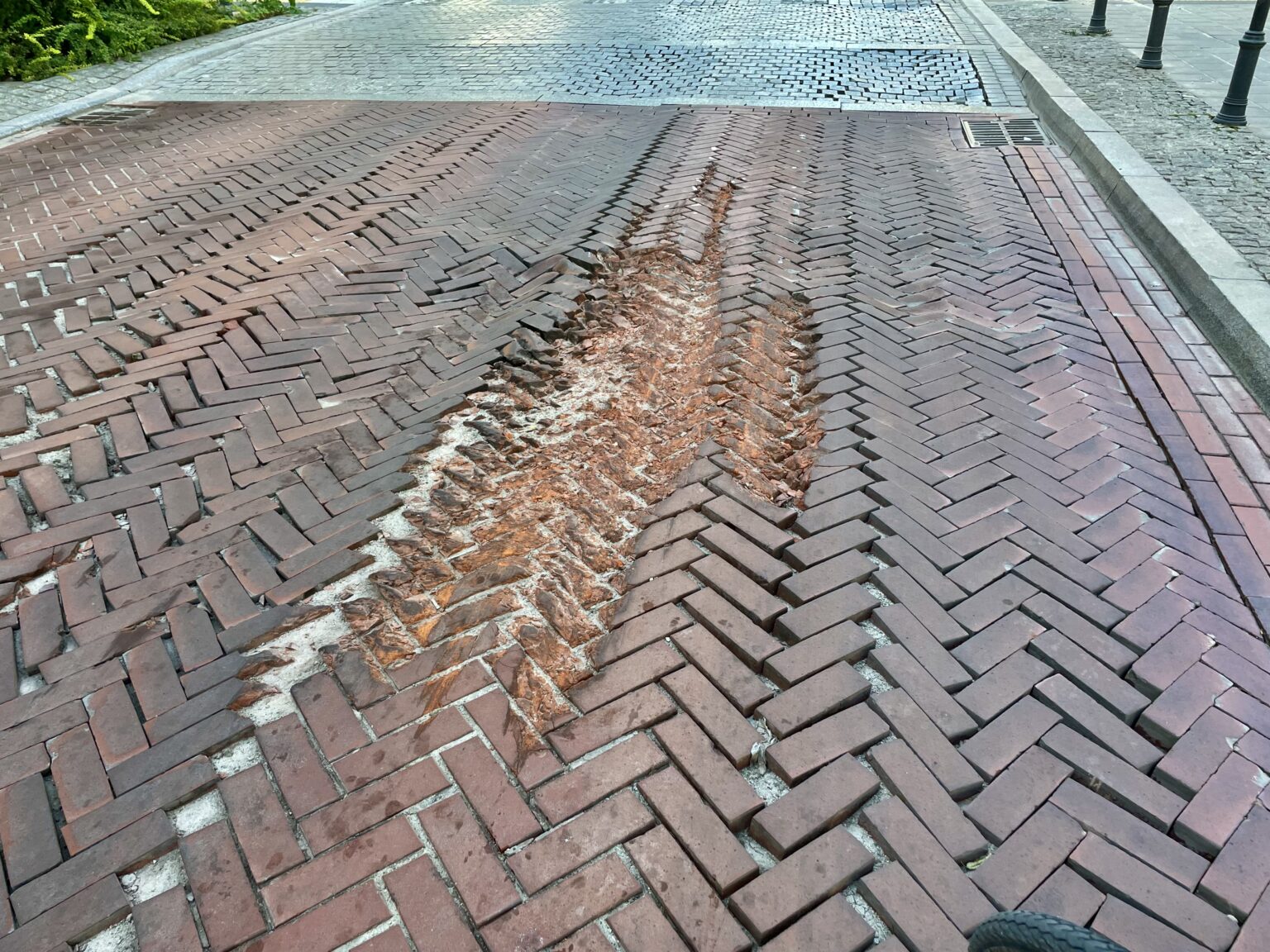 image00019 1