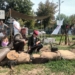 Święto Wojska Polskiego w Skierniewicach. Piknik wojskowy