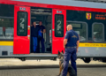 Wspólne szkolenie psów służbowych łódzkiej policji i Służby Ochrony Kolei