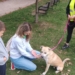 Promocja adopcji i spotkanie z behawiorystą. W Łodzi odbyła się kolejna Psia Polówka 19 promocja adopcji