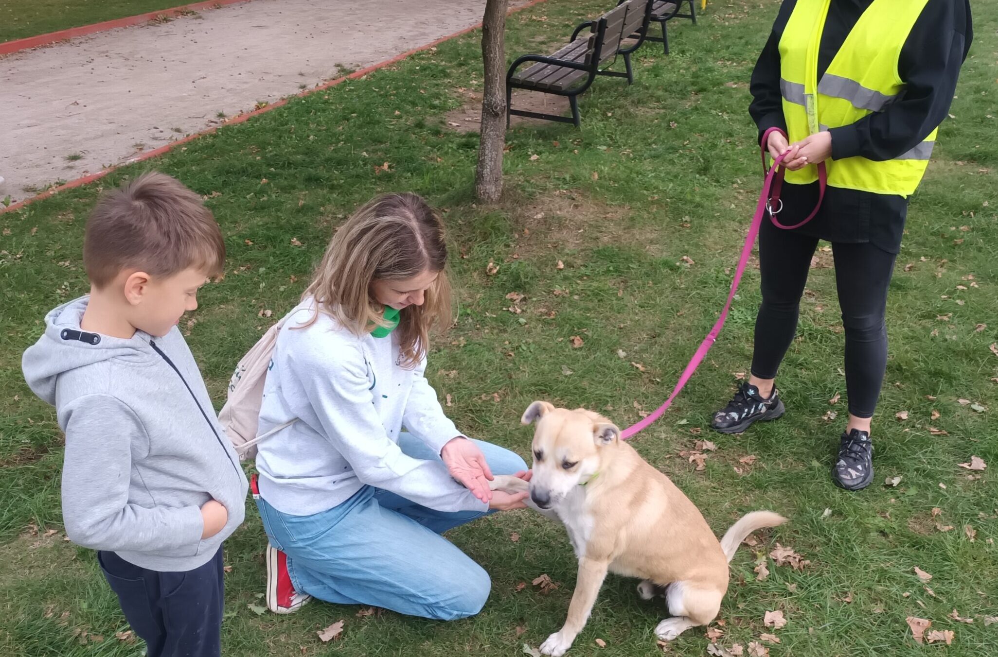 promocja adopcji