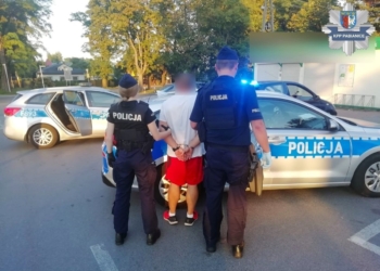 przewoził narkotyki