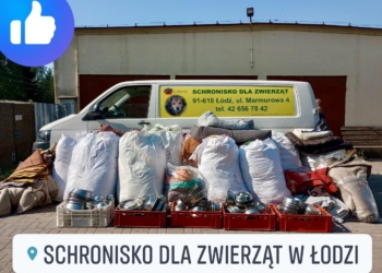 Powódź w Polsce