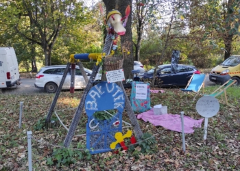 Piknik z okazji urodzin Konia Bałutka