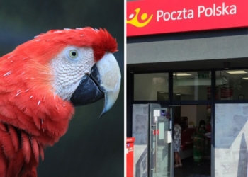 poczta polska