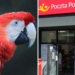 poczta polska