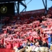 Doping kibiców na meczu Widzew Łódź - Piast Gliwice