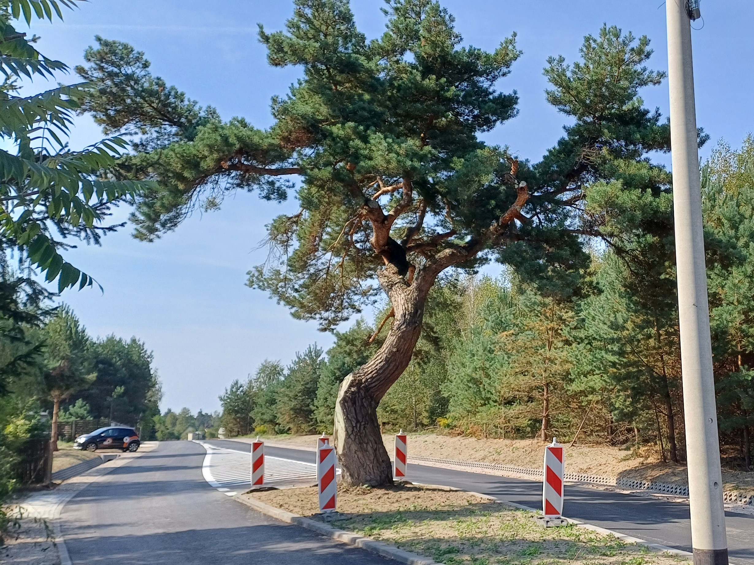 foto20240903 111409